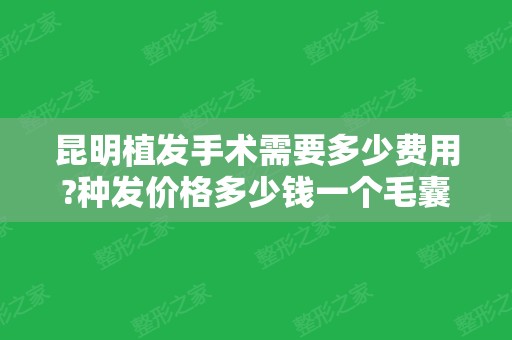 昆明植发手术需要多少费用?种发价格多少钱一个毛囊单位