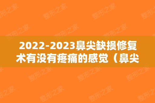 2024鼻尖缺损修复术有没有疼痛的感觉（鼻尖坏死能修复吗）