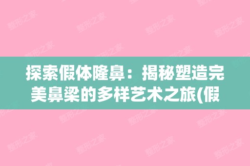 探索假体隆鼻：揭秘塑造完美鼻梁的多样艺术之旅(假体隆鼻模型)